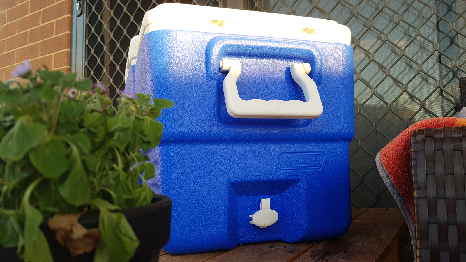 Review Coleman 47L esky, cans still freezing cold 48hrs later techAU